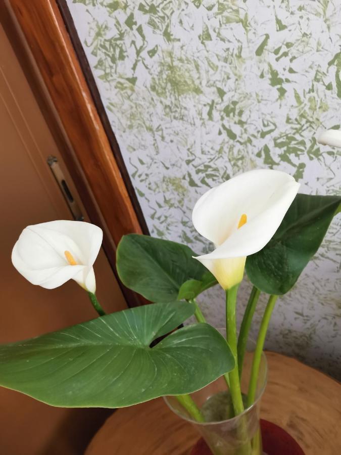 PolisHamboulaアパートメント エクステリア 写真